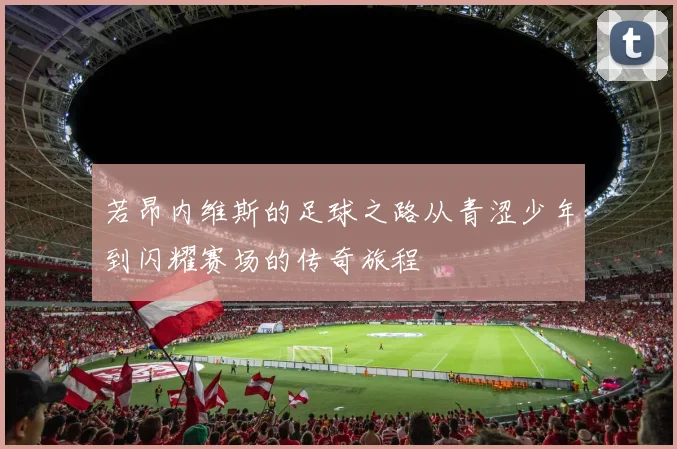 若昂内维斯的足球之路从青涩少年到闪耀赛场的传奇旅程