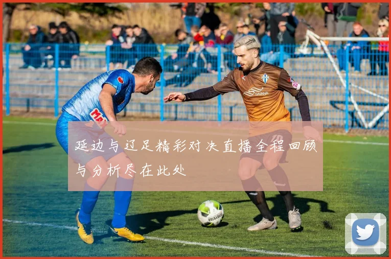 延边与辽足精彩对决直播全程回顾与分析尽在此处