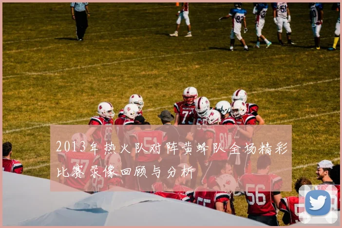 2013年热火队对阵黄蜂队全场精彩比赛录像回顾与分析