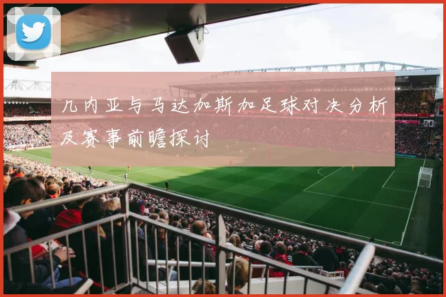 几内亚与马达加斯加足球对决分析及赛事前瞻探讨