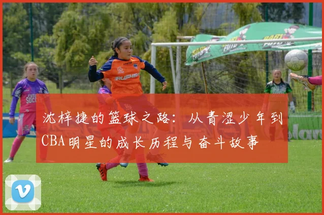 沈梓捷的篮球之路：从青涩少年到CBA明星的成长历程与奋斗故事