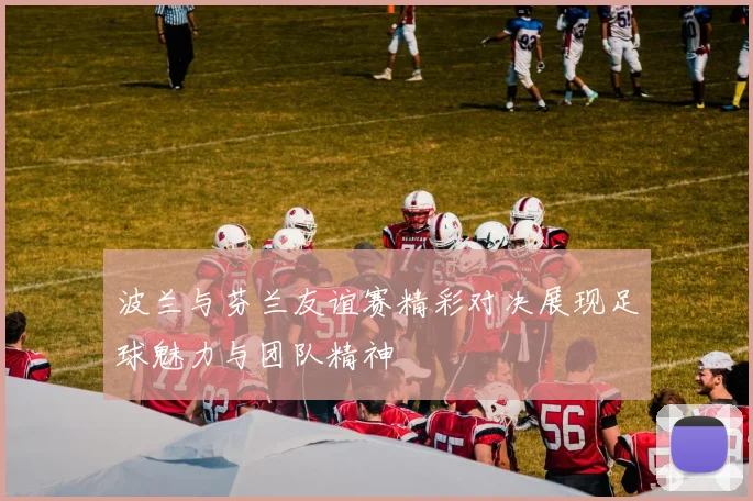 波兰与芬兰友谊赛精彩对决展现足球魅力与团队精神